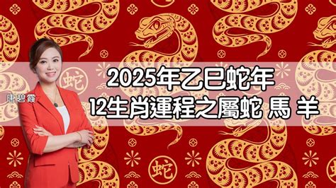 2025年蛇年運程|麥玲玲2025蛇年運程｜12生肖財運+愛情總運勢全面睇+開運大